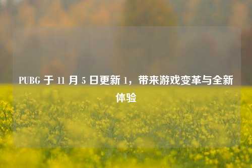 PUBG 于 11 月 5 日更新 1,带来游戏变革与全新体验