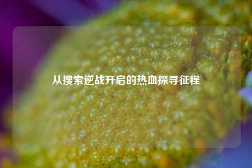 从搜索逆战开启的热血探寻征程