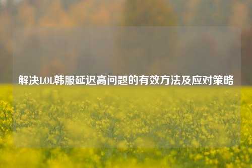 解决LOL韩服延迟高问题的有效 及应对策略
