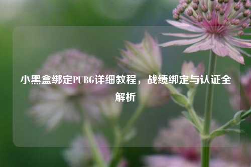 小黑盒绑定PUBG详细教程,战绩绑定与认证全解析