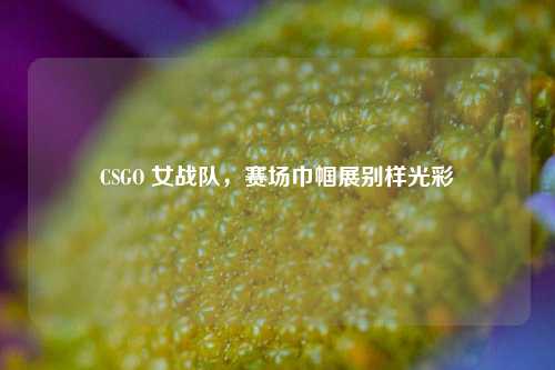 CSGO 女战队,赛场巾帼展别样光彩
