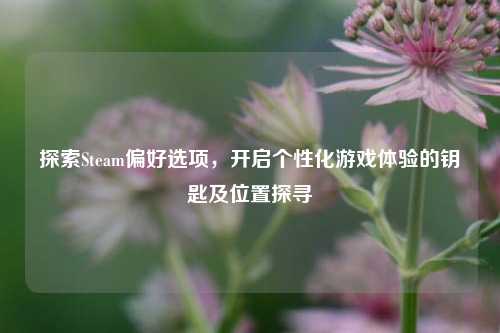探索Steam偏好选项,开启个性化游戏体验的钥匙及位置探寻
