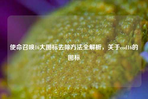 使命召唤16大图标去除 全解析,关于cod16的图标