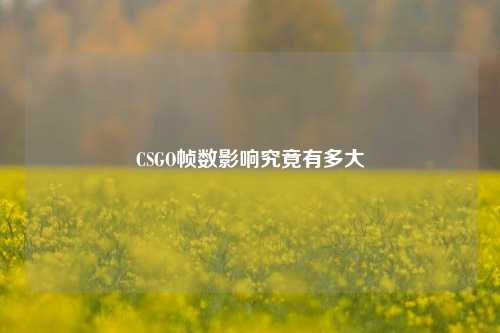 CSGO帧数影响究竟有多大