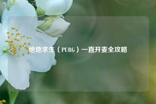 绝地求生(PUBG)一直开麦全攻略