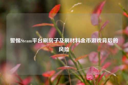 警惕Steam平台刷房子及刷材料金币游戏背后的风险
