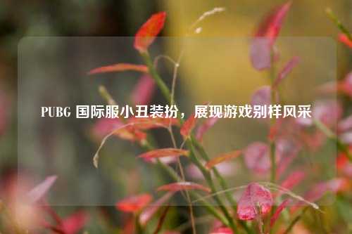 PUBG 国际服小丑装扮,展现游戏别样风采