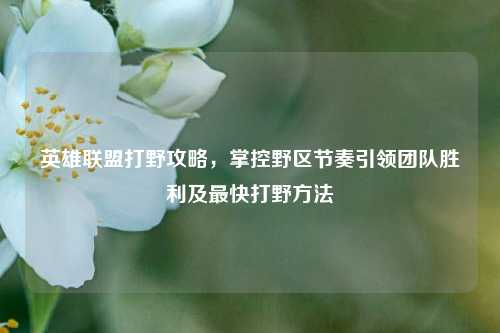 英雄联盟打野攻略,掌控野区节奏引领团队胜利及最快打野