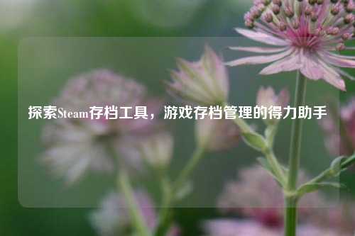 探索Steam存档工具,游戏存档管理的得力助手
