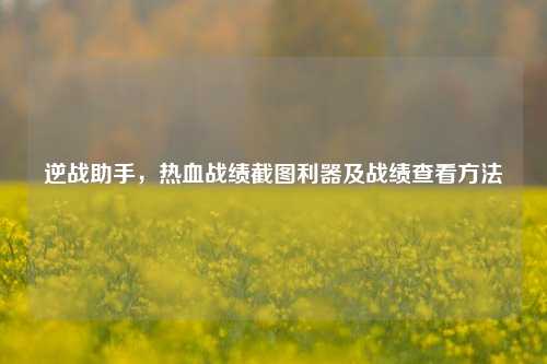 逆战助手,热血战绩截图利器及战绩查看