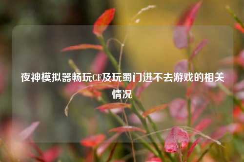 夜神模拟器畅玩CF及玩蜀门进不去游戏的相关情况
