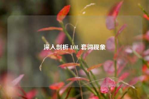 深入剖析 LOL 套词现象