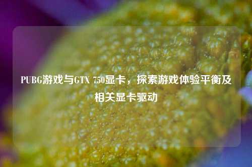 PUBG游戏与GTX 750显卡,探索游戏体验平衡及相关显卡驱动