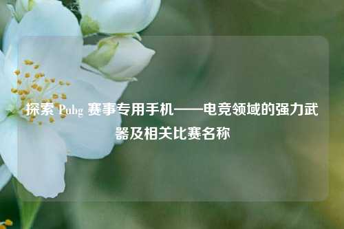 探索 Pubg 赛事专用手机——电竞领域的强力武器及相关比赛名称