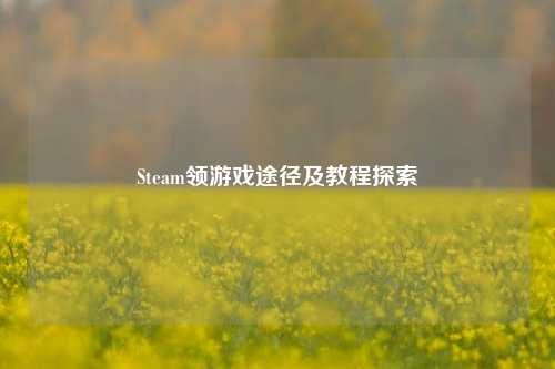 Steam领游戏途径及教程探索
