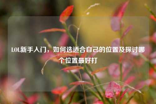 LOL新手入门,如何选适合自己的位置及探讨哪个位置更好打