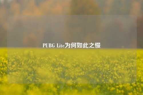 PUBG Lite为何如此之慢