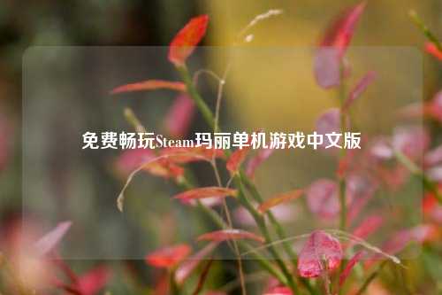 免费畅玩Steam玛丽单机游戏中文版