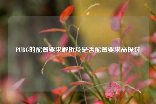 PUBG的配置要求解析及是否配置要求高探讨