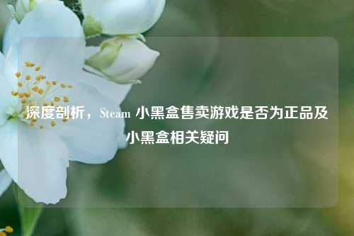 深度剖析,Steam 小黑盒售卖游戏是否为正品及小黑盒相关疑问