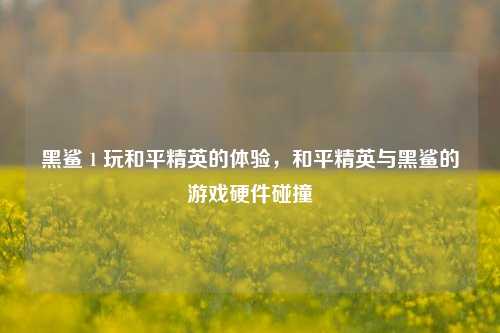 黑鲨 1 玩和平精英的体验,和平精英与黑鲨的游戏硬件碰撞