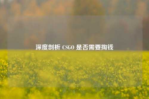 深度剖析 CSGO 是否需要掏钱
