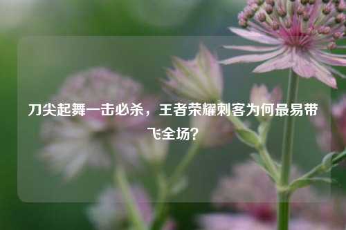 刀尖起舞一击必杀,王者荣耀刺客为何最易带飞全场?