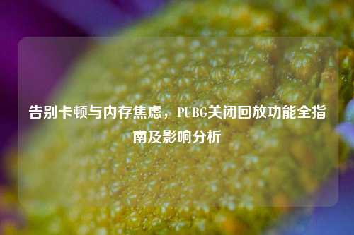 告别卡顿与内存焦虑,PUBG关闭回放功能全指南及影响分析