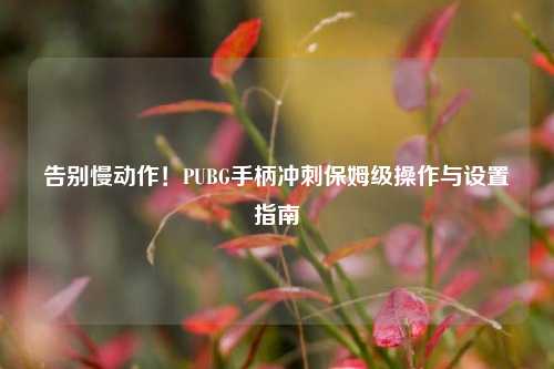 告别慢动作!PUBG手柄冲刺保姆级操作与设置指南