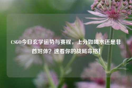 CSGO今日玄学运势与赛程,上分如喝水还是非酋附体?速看你的战局命格!