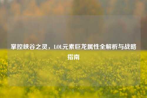 掌控峡谷之灵,LOL元素巨龙属性全解析与战略指南