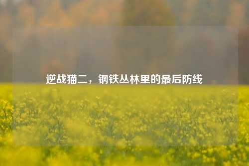 逆战猫二,钢铁丛林里的最后防线