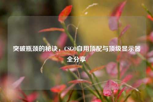 突破瓶颈的秘诀,CSGO自用顶配与顶级显示器全分享