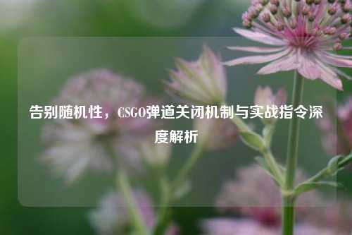 告别随机性,CSGO弹道关闭机制与实战指令深度解析