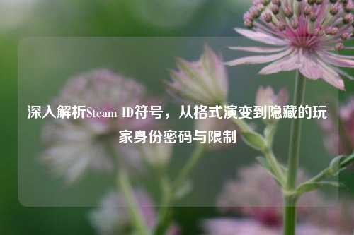 深入解析Steam ID符号,从格式演变到隐藏的玩家身份密码与限制