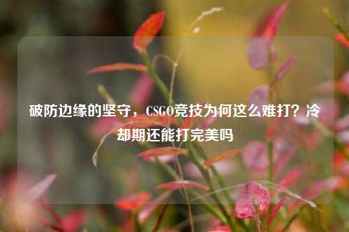 破防边缘的坚守,CSGO竞技为何这么难打?冷却期还能打完美吗