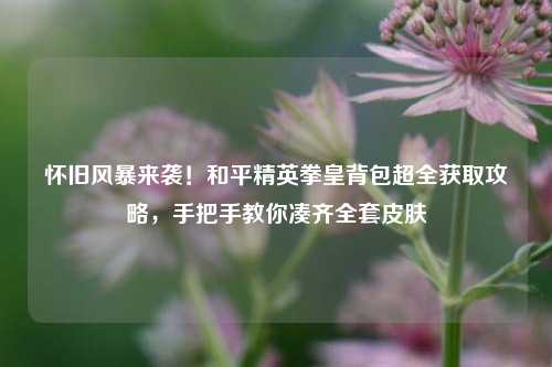 怀旧风暴来袭!和平精英拳皇背包超全获取攻略,手把手教你凑齐 皮肤