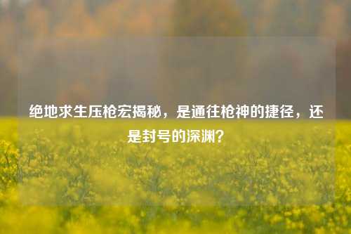 绝地求生压枪宏揭秘,是通往枪神的捷径,还是封号的深渊?