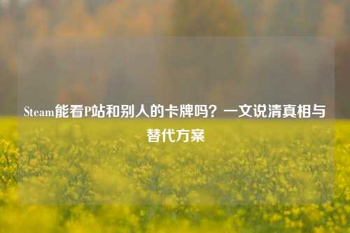 Steam能看P站和别人的卡牌吗?一文说 相与替代方案