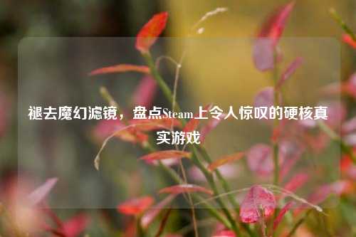 褪去魔幻滤镜,盘点Steam上令人惊叹的硬核真实游戏
