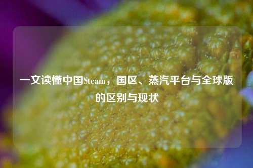 一文读懂中国Steam,国区、蒸汽平台与全球版的区别与现状