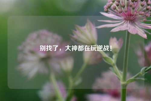 别找了,大神都在玩逆战!