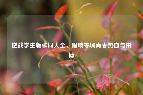 逆战学生版歌词大全,唱响考场青春热血与拼搏