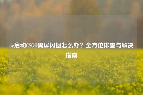 5e启动CSGO黑屏闪退怎么办?全方位排查与解决指南