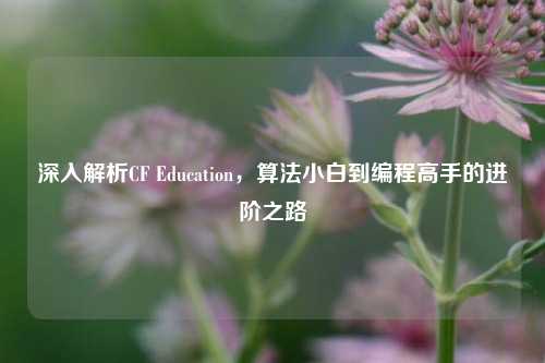 深入解析CF Education,算法小白到编程高手的进阶之路