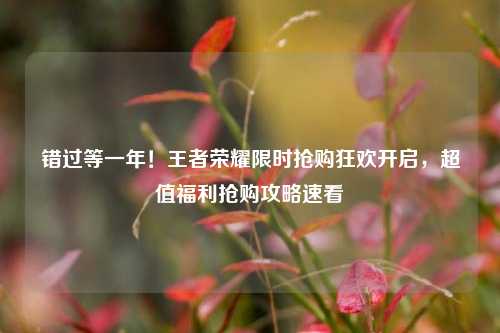 错过等一年!王者荣耀限时抢购狂欢开启,超值福利抢购攻略速看