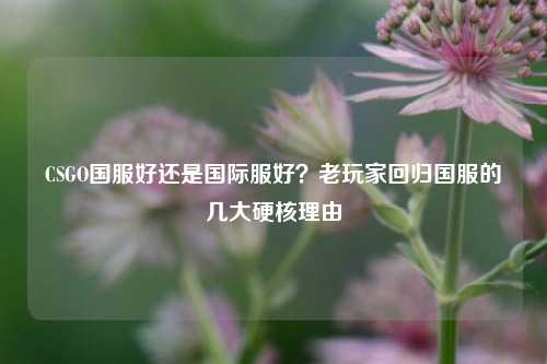 CSGO国服好还是国际服好?老玩家回归国服的几大硬核理由