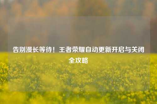 告别漫长等待!王者荣耀自动更新开启与关闭全攻略