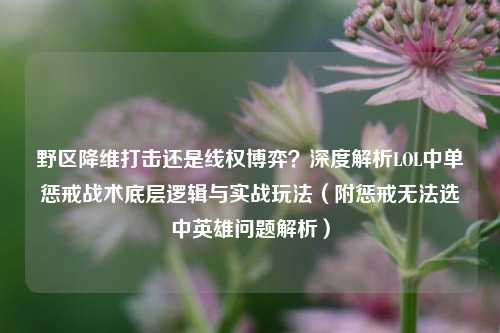 野区降维打击还是线权博弈?深度解析LOL中单惩戒战术底层逻辑与实战玩法(附惩戒无法选中英雄问题解析)