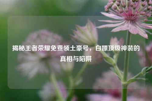 揭秘王者荣耀免费领土豪号,白嫖顶级神装的真相与陷阱